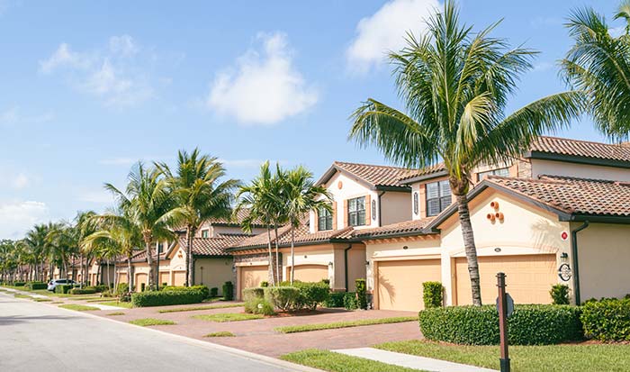 trees and houses | hoa management in palm harbor